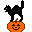 Cat on Pumpkin